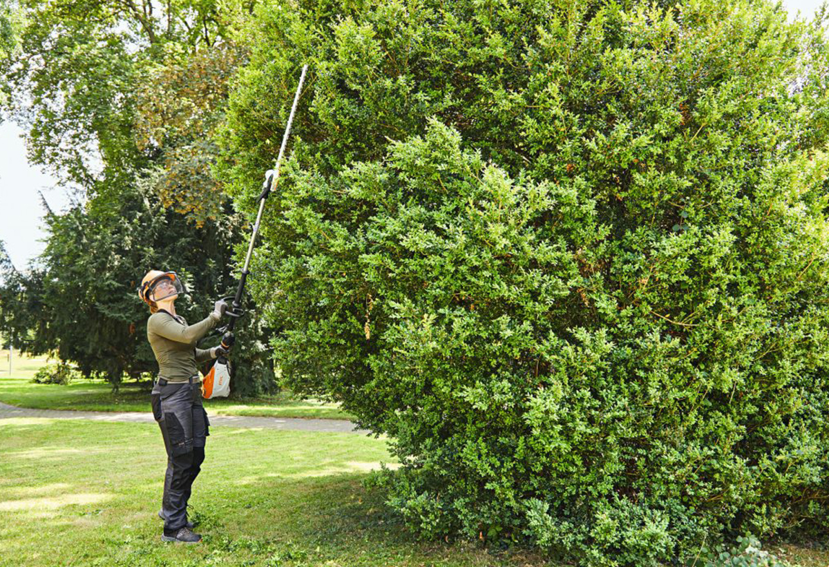 Απεικονίζεται γυναίκα να χρησιμοποιεί το ψαλίδι σε ψηλό φυτό